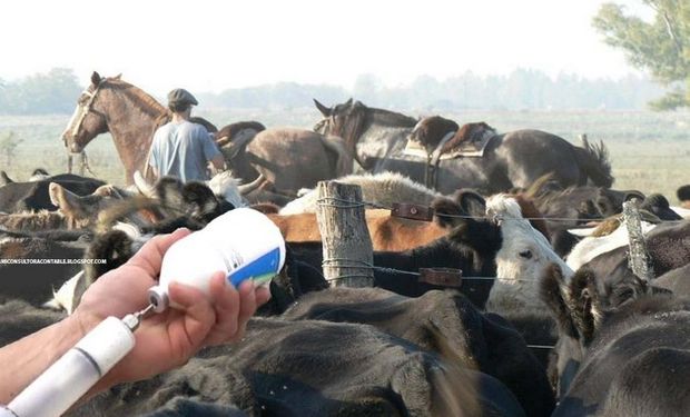 La tarea es desarrollada por los entes sanitarios de vacunación autorizados y supervisados por el SENASA y por vacunadores acreditados a los operativos de inoculación.