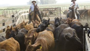 La ganadería dialogó en Rosario