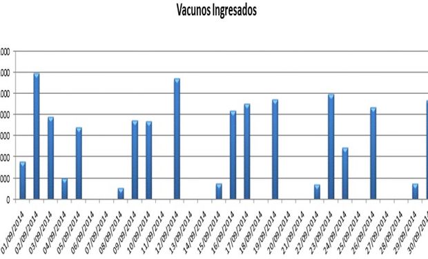 Ingresos vacunos, mes de Septiembre, Mercado de Liniers.