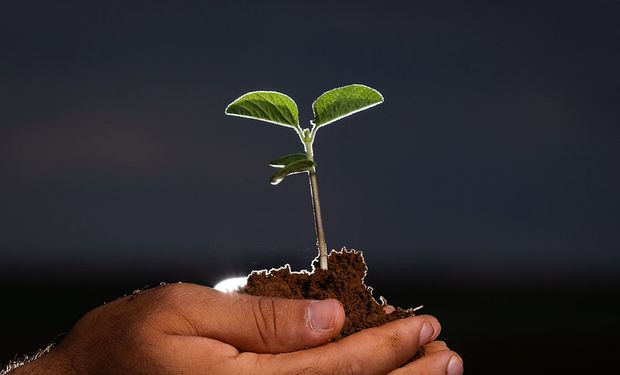 Vagas no agro: Raízen e Syngenta oferecem 180 oportunidades de estágio em todo o país