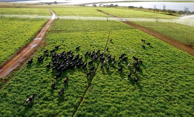 Riego por pivot y tecnología de precisión para asegurar los rindes: una de las propuestas en Agroactiva 2024