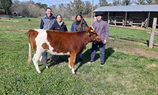 La Yoli, una vaca especial que se prepara para la Expo Rural 2023