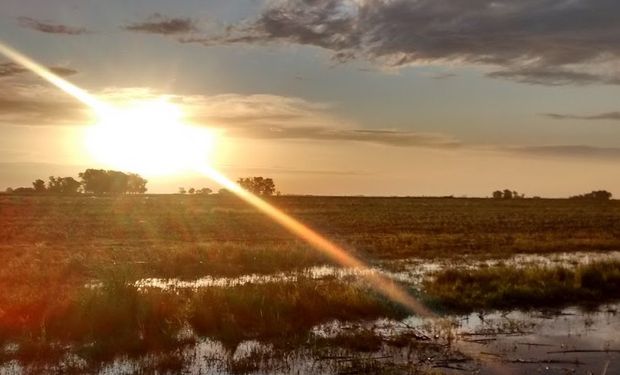 Para Di Bella, el cambio climático no es el responsable de lo que le ocurre a los sistemas de producción agropecuaria.