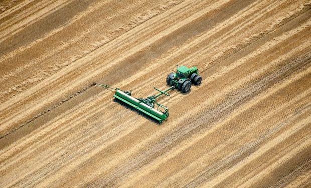 Paraná inicia vazio sanitário da soja na próxima sexta