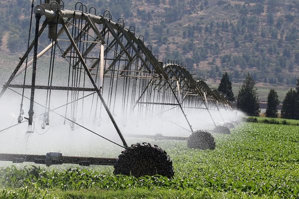 agricultura_irrigada2