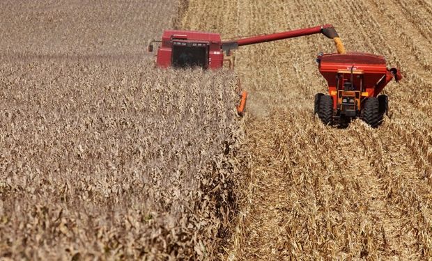 VBP das lavouras apresentou acréscimo de 1,7% real, enquanto a pecuária teve queda de 4,4%. (Foto: Mapa)