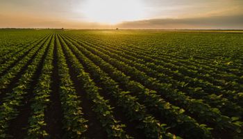 Mapa calcula VPB do Agro 2022 em R$ 1,185 trilhão