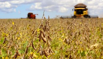 Valor Bruto da Produção do agro alcança R$ 1,406 trilhão em agosto