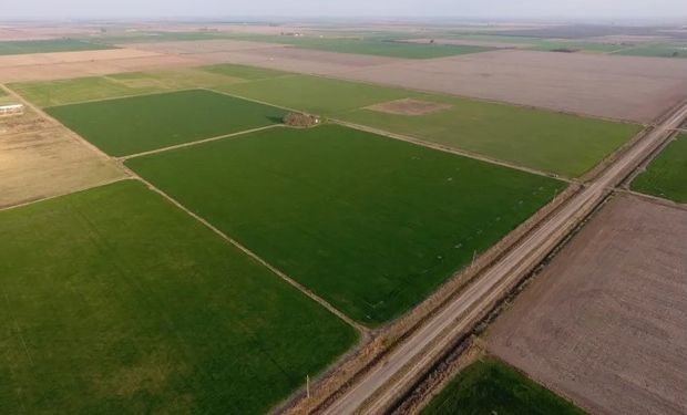 Aumentó el interés para la compra de campos por el año electoral y la inestabilidad financiera