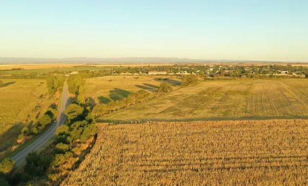 La venta de campos se frenó después de las PASO: de qué se habla en el mercado inmobiliario rural