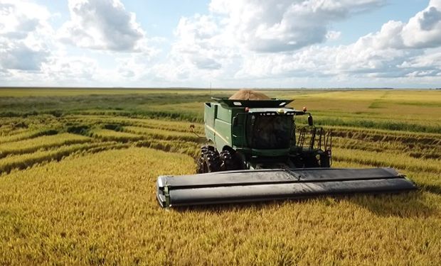 Hasta junio se vendieron casi 600 cosechadoras: cuánto facturó el sector de la maquinaria agrícola