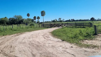 Destacan un salto muy alto en la actividad del mercado inmobiliario rural: "La demanda de inversores está muy firme"