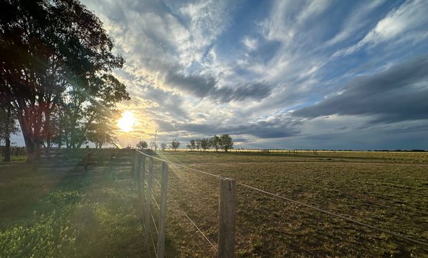 ¿Cuánto vale la hectárea? Por qué es clave conocer el verdadero valor de su campo y cómo hacerlo en 24 horas y con absoluta confidencialidad