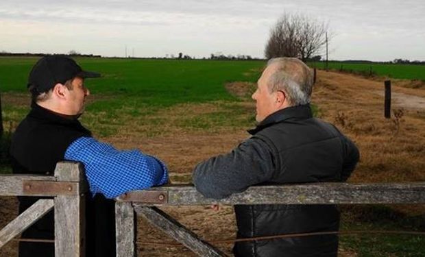 Repuntó la venta de campos.