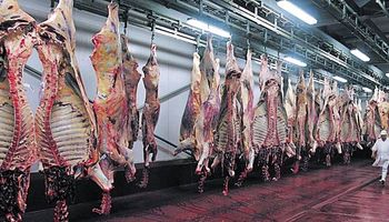 Brasil: líder en ventas de carne bovina a Chile