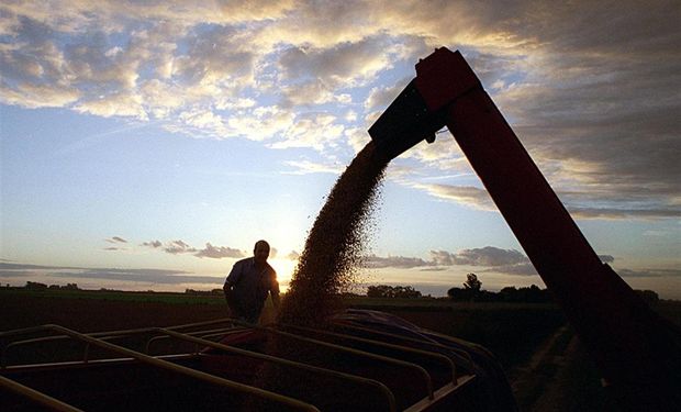 Creen que los exportadores liquidaron su stock de años previos.