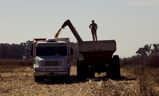 Obligan a productores a vender la cosecha para acceder a créditos