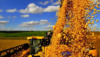 Se derrumbaron 33% las exportaciones de granos