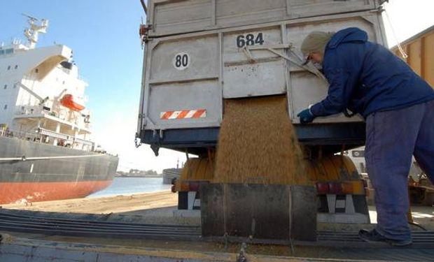 En soja, la demanda adquirió 26.917.200 toneladas.