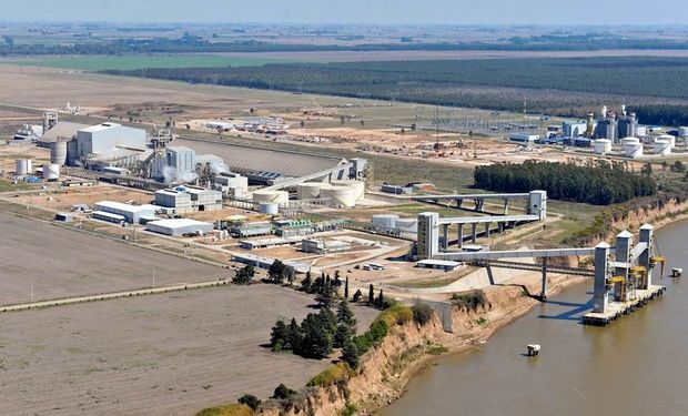 Aceite de soja: Argentina lidera ventas en la región