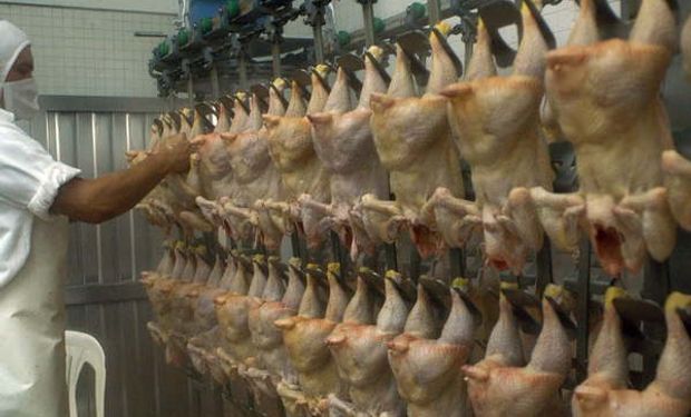 Brasileños dedicados a la carne aviar exportaron en diciembre de 2015 un total de 399.000 toneladas.