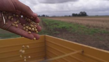 Soja: atraso en la comercialización ya impacta en los volúmenes exportados
