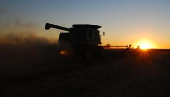 Soja: estrategias para ganarle al mercado climático