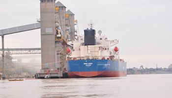 Exportación de trigo alcanza registros máximos de los últimos 20 años