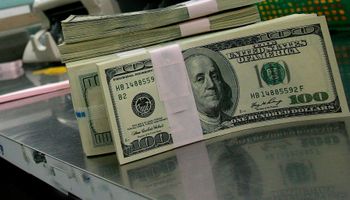 El dólar oficial subió a $ 5,685 y en cuevas cedió