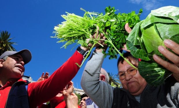 Pequeños productores se reunen en Plaza de Mayo donde hacen un "Feriazo" vendiendo mas de 20 mil kilos de verduras.