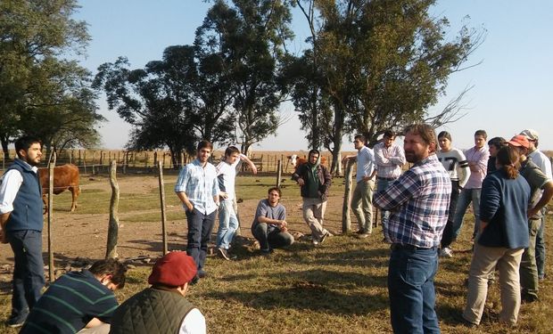 En 2016 la cantidad de estudiantes registrados en las carreras de veterinaria fue de 26.798 alumnos.