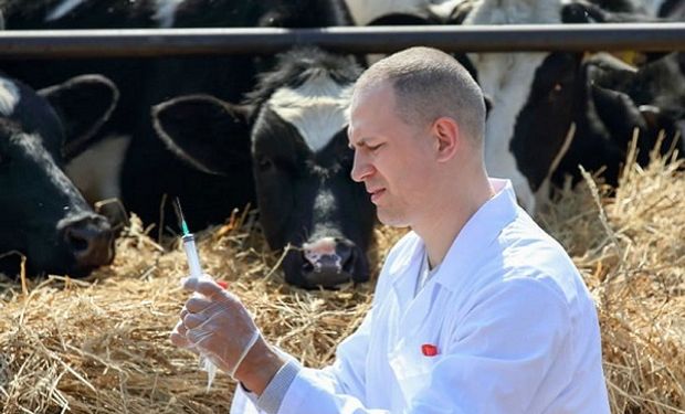 Día del Veterinario: por qué se celebra en Argentina y el rol de los profesionales ante los nuevos desafíos