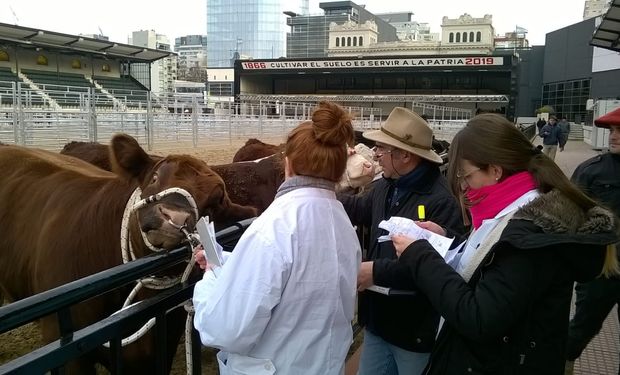 Negri destacó que "el Senasa cuida la sanidad de los animales que participan en la Expo Rural de Palermo”.