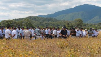 Las nuevas Súper Soja BT marcarán la diferencia