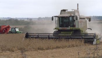 ¿Vicentin constituye un primer pie sobre el sistema agroindustrial?