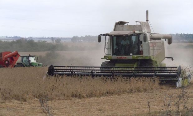 ¿Vicentin constituye un primer pie sobre el sistema agroindustrial?