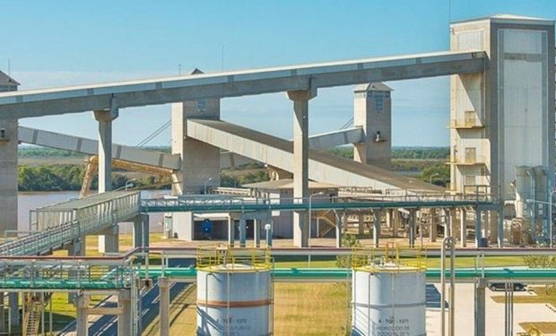 "La demora va a valer la pena": el plan de uno de los interesados en Vicentin que involucra una mega granja de cerdos en Argentina