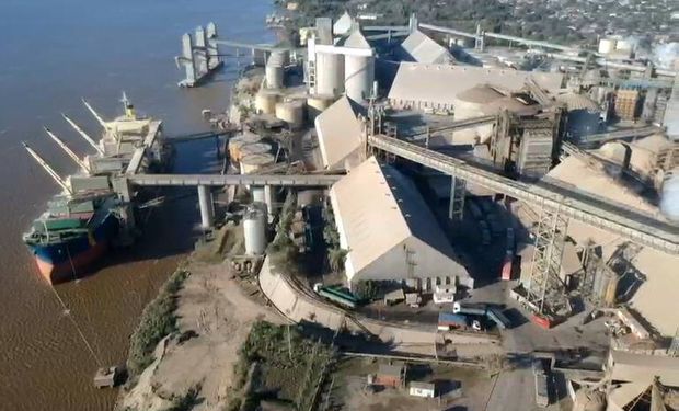 La propuesta de dos gigantes del agro para quedarse con Vicentin y pagar el 80% de la deuda en un pago