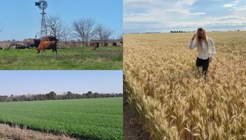 La corredora inmobiliaria que es productora y habló del auge de tierras: "El mercado está mostrando reactivación después de más de diez años de estancamiento"