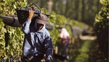 Lanzan un programa que conecta trabajadores rurales desempleados con empleadores