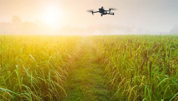 Encontraron la solución al cuello de botella de las baterias para usar drones en el campo: no requiere intervención humana