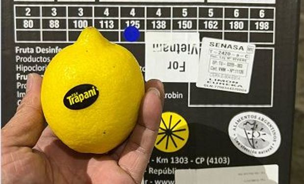 Arribó a Vietnam el primer embarque de limones argentinos: un mercado que se abrió en 2019 y que posiciona al NOA en un lugar único