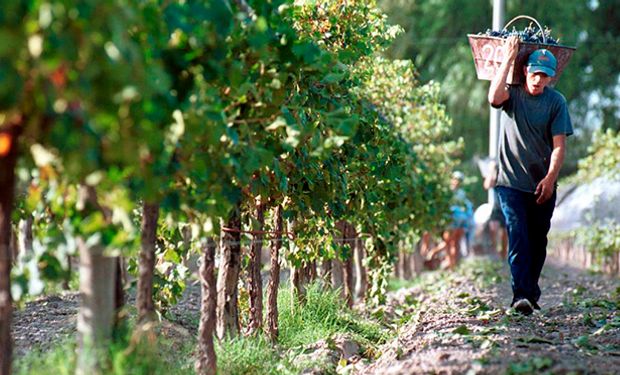 Lanzan una línea de créditos a tasa bonificada para productores vitivinícolas, bodegueros y cooperativas