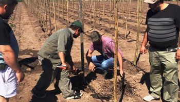Santa Fe busca potenciar la producción vitivinícola y generar valor agregado