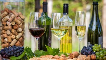 Quais são os melhores vinhos do Brasil em 2026? Veja os rótulos premiados