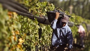 Mesa vitivinícola solicitó un aumento en los reintegros a las exportaciones