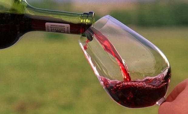 Por qué el malbec es sinónimo de vino argentino? | Agrofy News