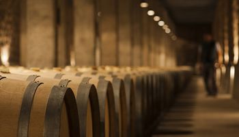 Las exportaciones de vino a granel aumentaron 150% durante julio