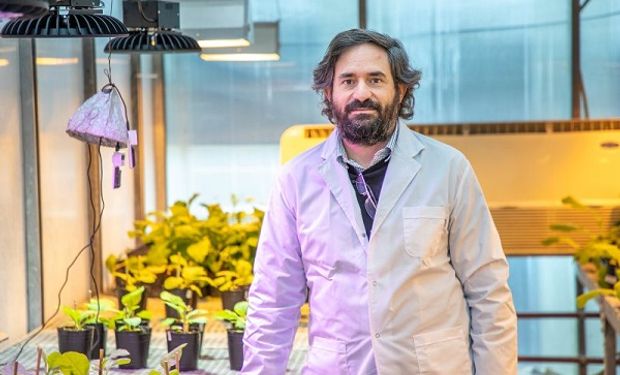 Descifraron un dato clave de las plantas tras analizar el primer virus que se descubrió en la historia