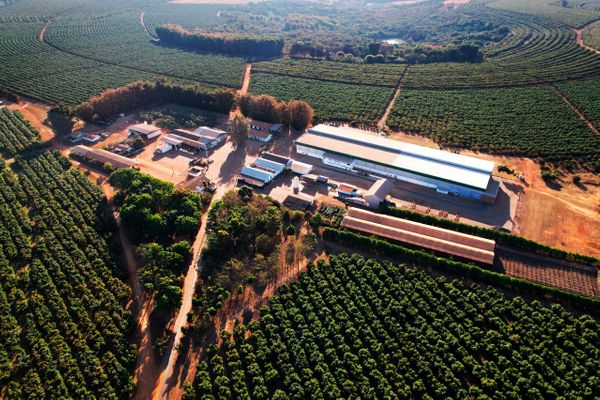 finca de palta